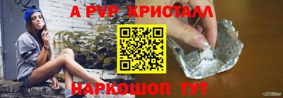 кокс Кингисепп