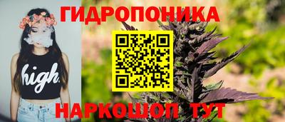 кокс Кингисепп